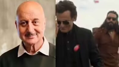 Aditya Dhar Movie Dhurandhar Success