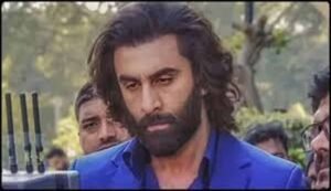 Animal Park Sequel Updates