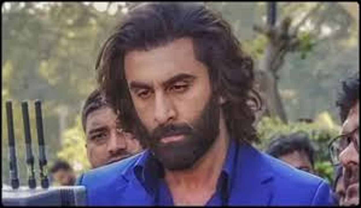 Animal Park Sequel Updates