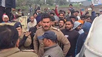 Animal Remains Investigation