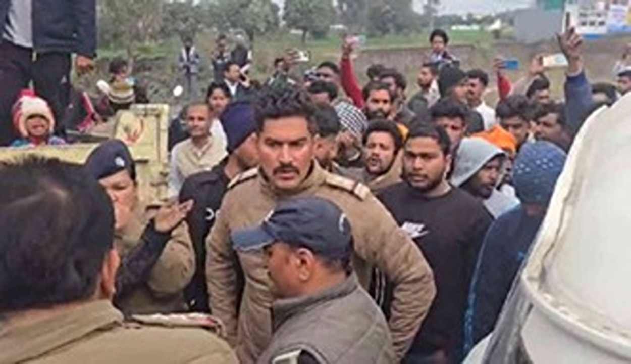 Animal Remains Investigation