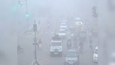 Bihar Cold Weather Update