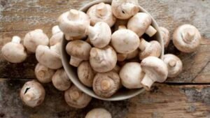 Bihar Mushroom Farming Electricity Subsidy
