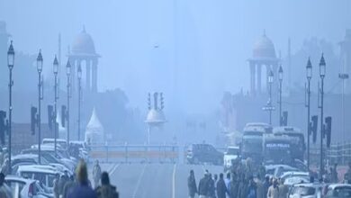 Delhi Cold Wave Alert