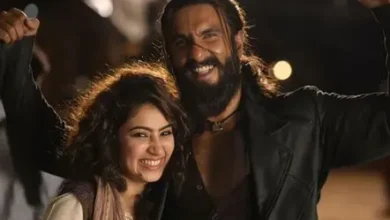 Dhurandhar Box Office Record