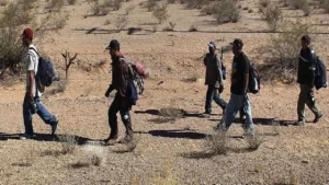 Dunki Route Money Laundering Case