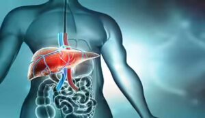 Healthy Lifestyle Secrets