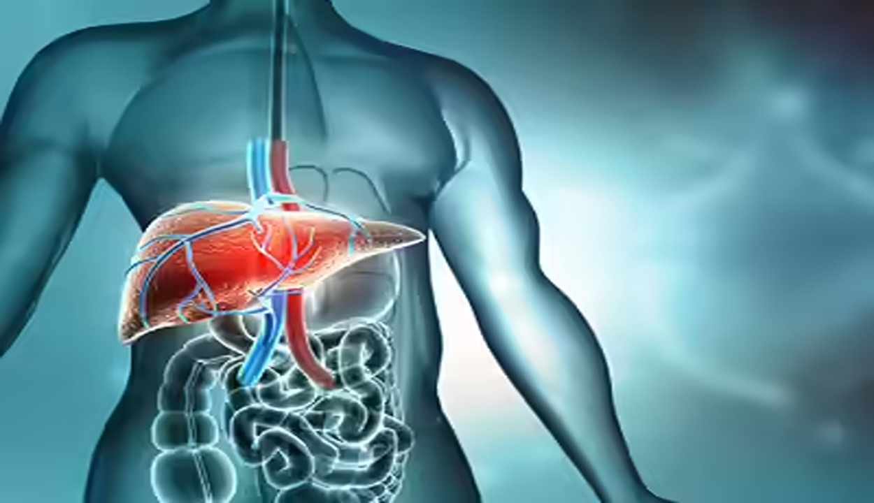 Healthy Lifestyle Secrets