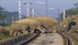 Indian Railways Train Cancellation