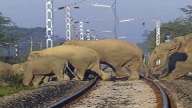 Indian Railways Train Cancellation