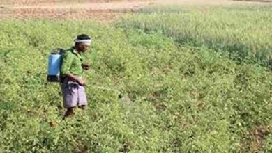 Jharkhand Agriculture Transformation