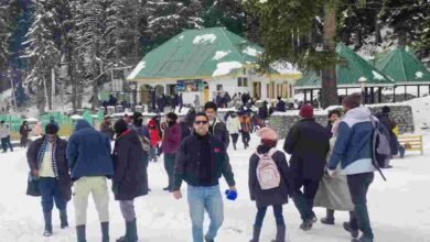 Kashmir Tourism Security 2025