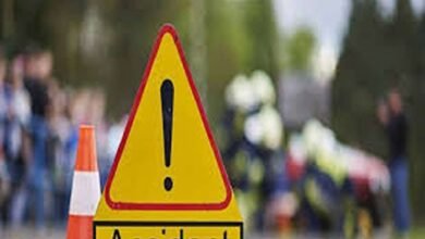 Legal Triumph and Justice