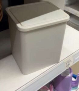 Professional Civic Ethics