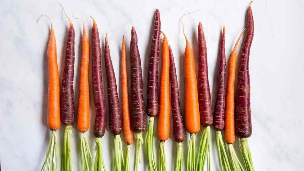 Red vs Orange Carrots