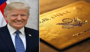 Trump Gold Card Visa