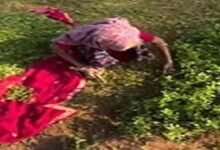 Viral Heartwarming Video