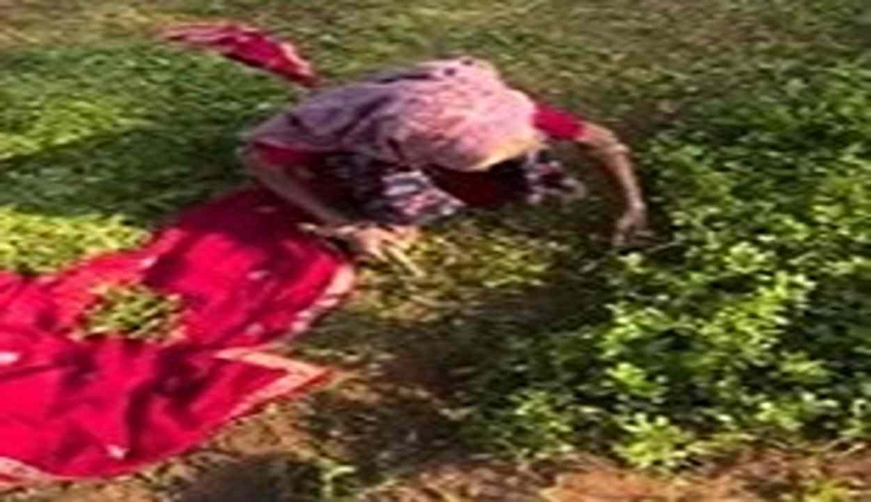 Viral Heartwarming Video