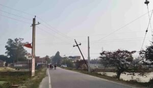 Viral Social Media Trends