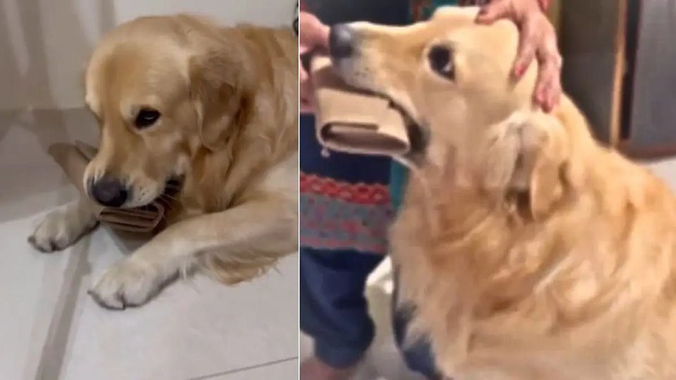 Viral Social Media Video