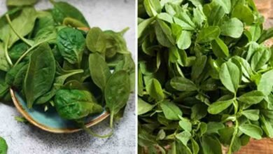Winter Green Leafy Vegetables Benefits