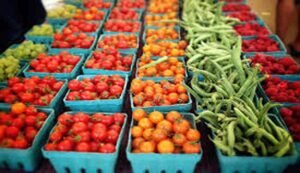 Cancer Prevention Diet and Lifestyle