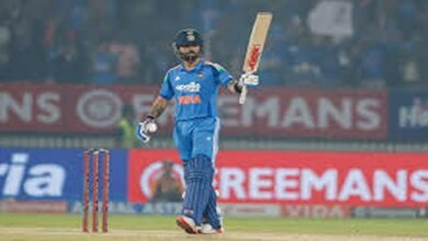 Cricket Performance Review 2026