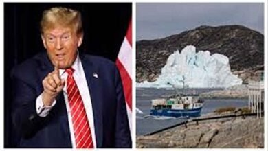 Donald Trump Greenland Purchase Proposal