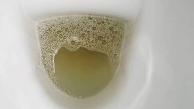 Foamy Urine and Kidney Health Awareness 2026