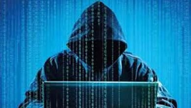 India Cyber Fraud Report