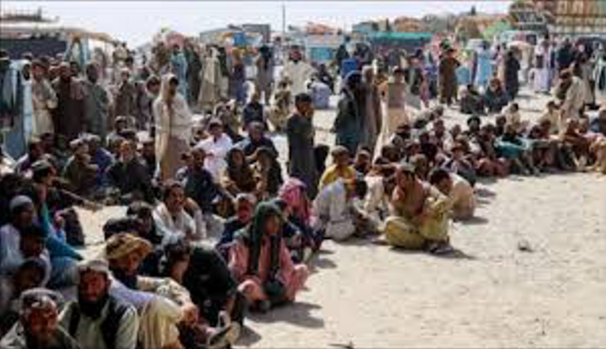 Indian Medicines in Afghanistan 2026