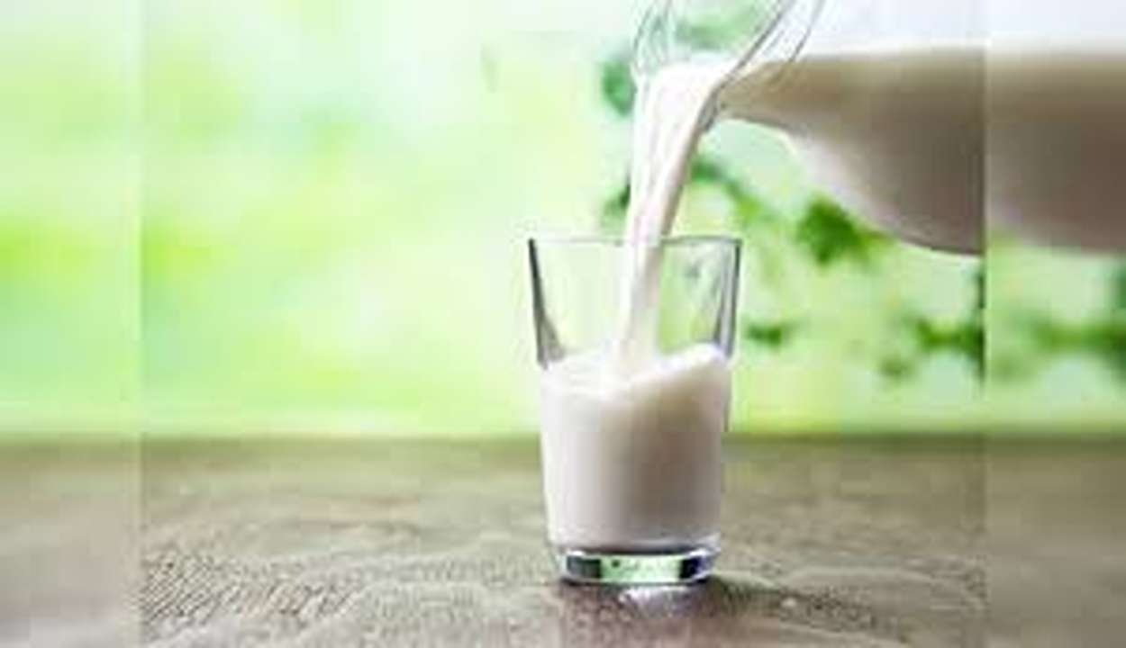 Milk Consumption Myths and Facts