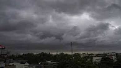 Muzaffarpur Weather Update