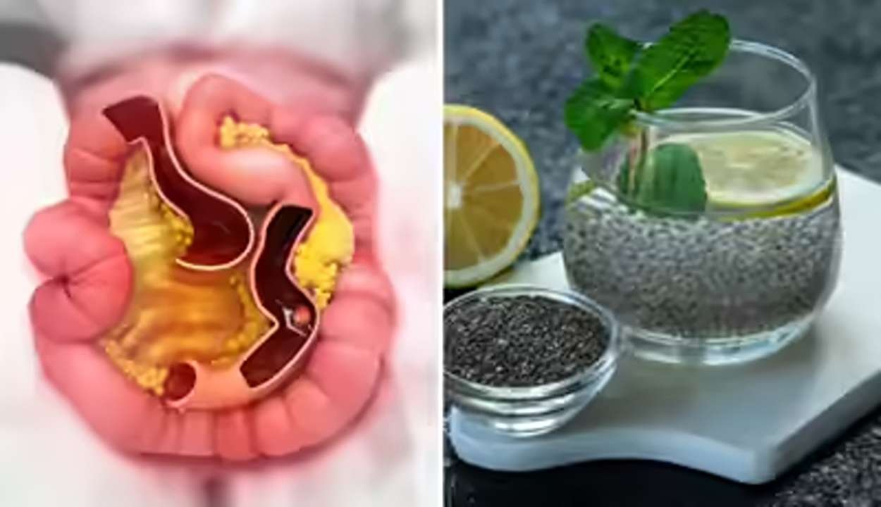 Natural Seeds for Digestion