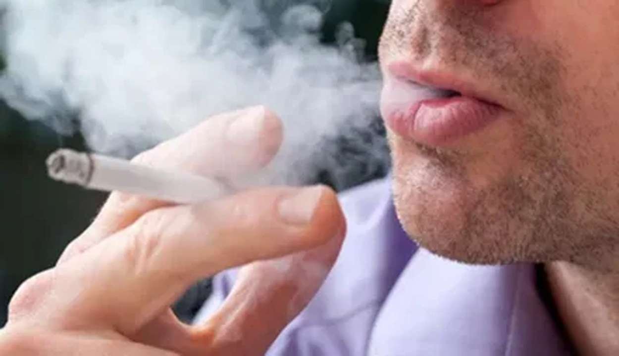 Quit Smoking and Alcohol Guide 2026