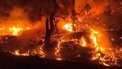 Uttarakhand Forest Fire Crisis
