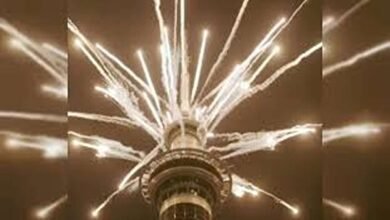 WEF Youth Pulse 2026 Insights