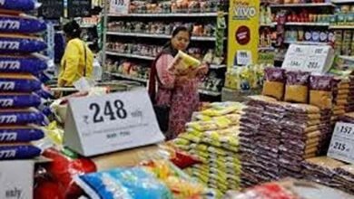 WPI Inflation India Report