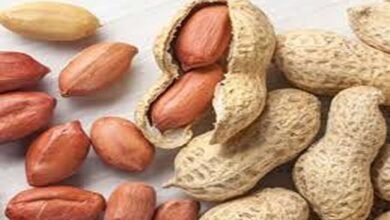 Winter Superfood Benefits