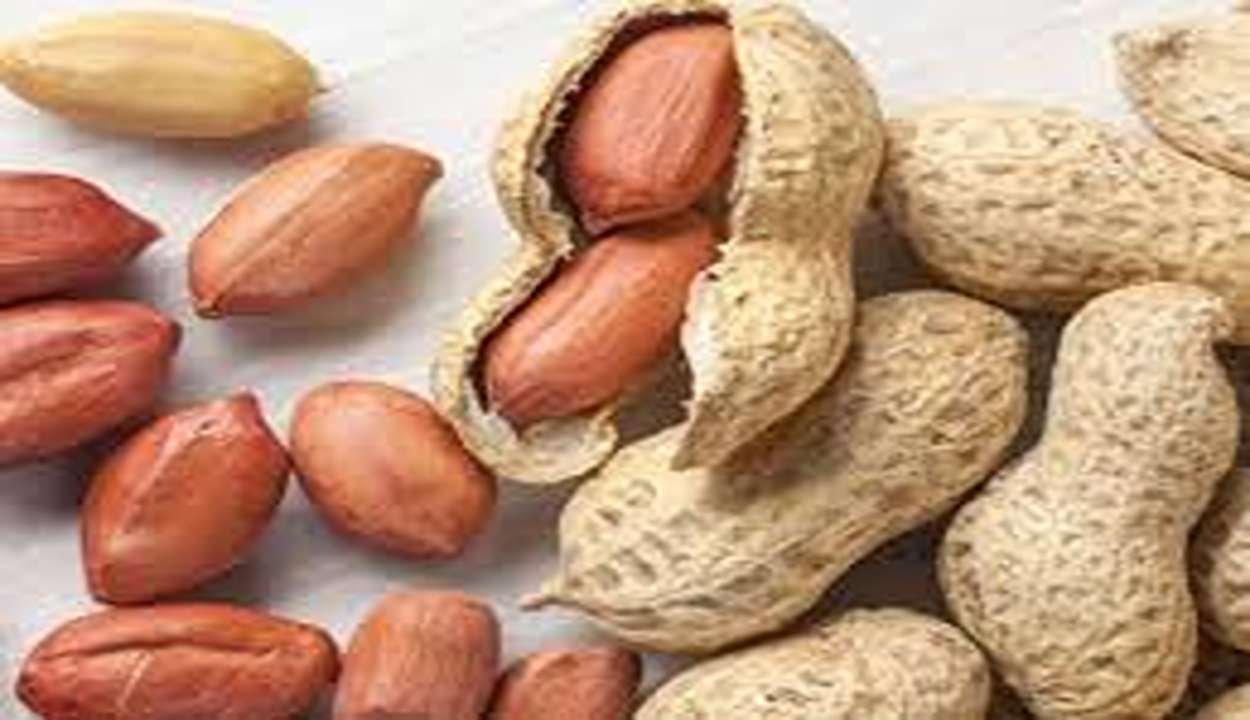 Winter Superfood Benefits