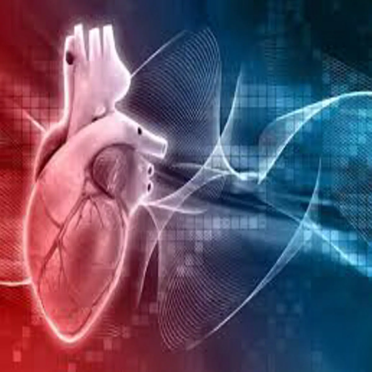 Cardiology Cardiology Sailent Hart Ataik Phchanne