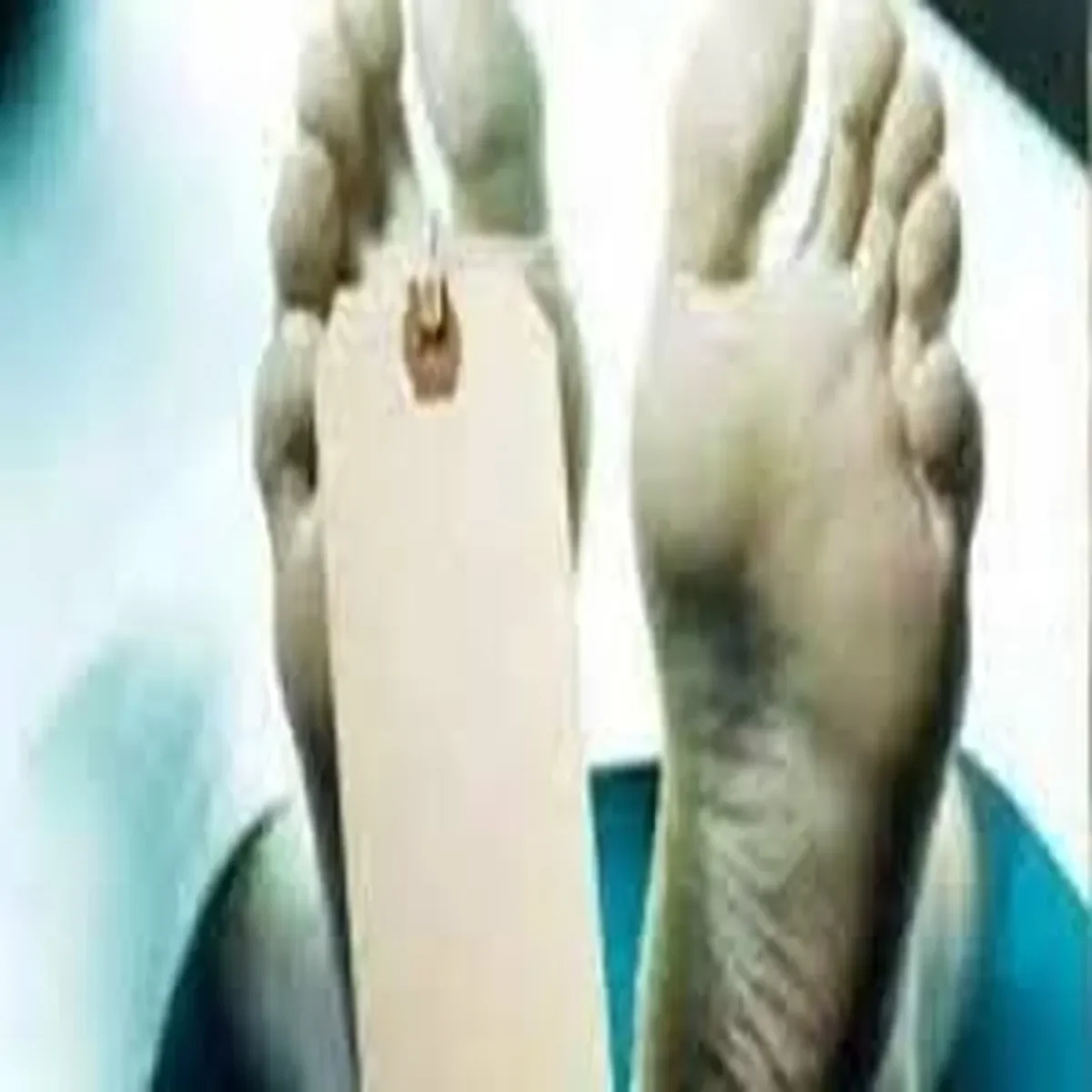 Gondaincident - – - खेत - में - काम - करते - भाइयों - पर