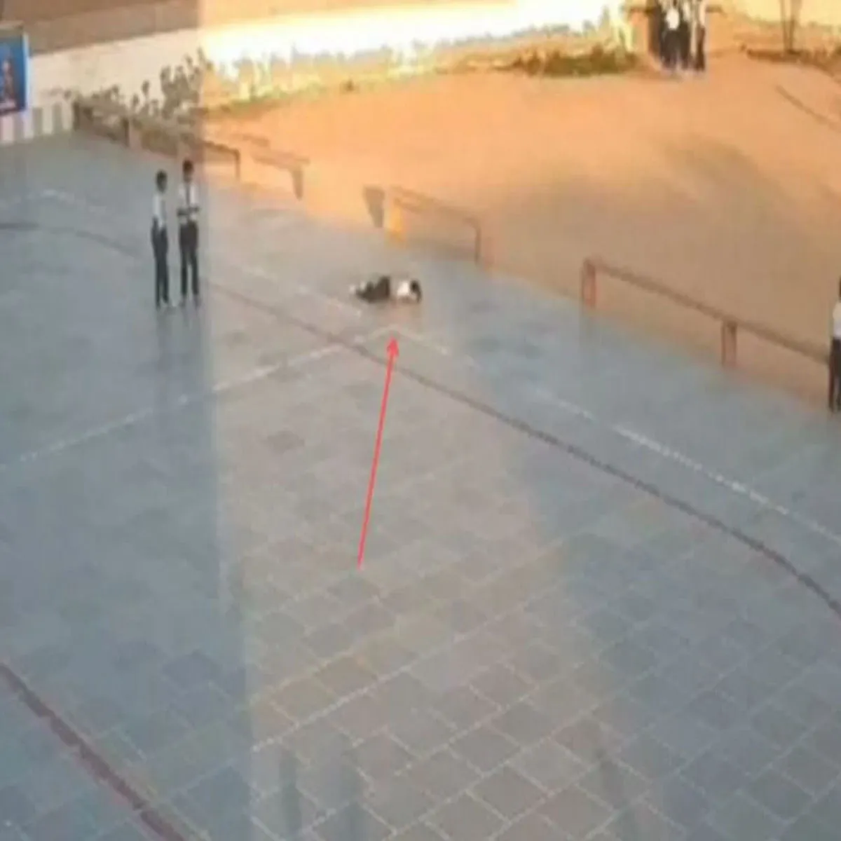 Childhearthealth Childhearthealth Nagaur Men Chhatra Maut