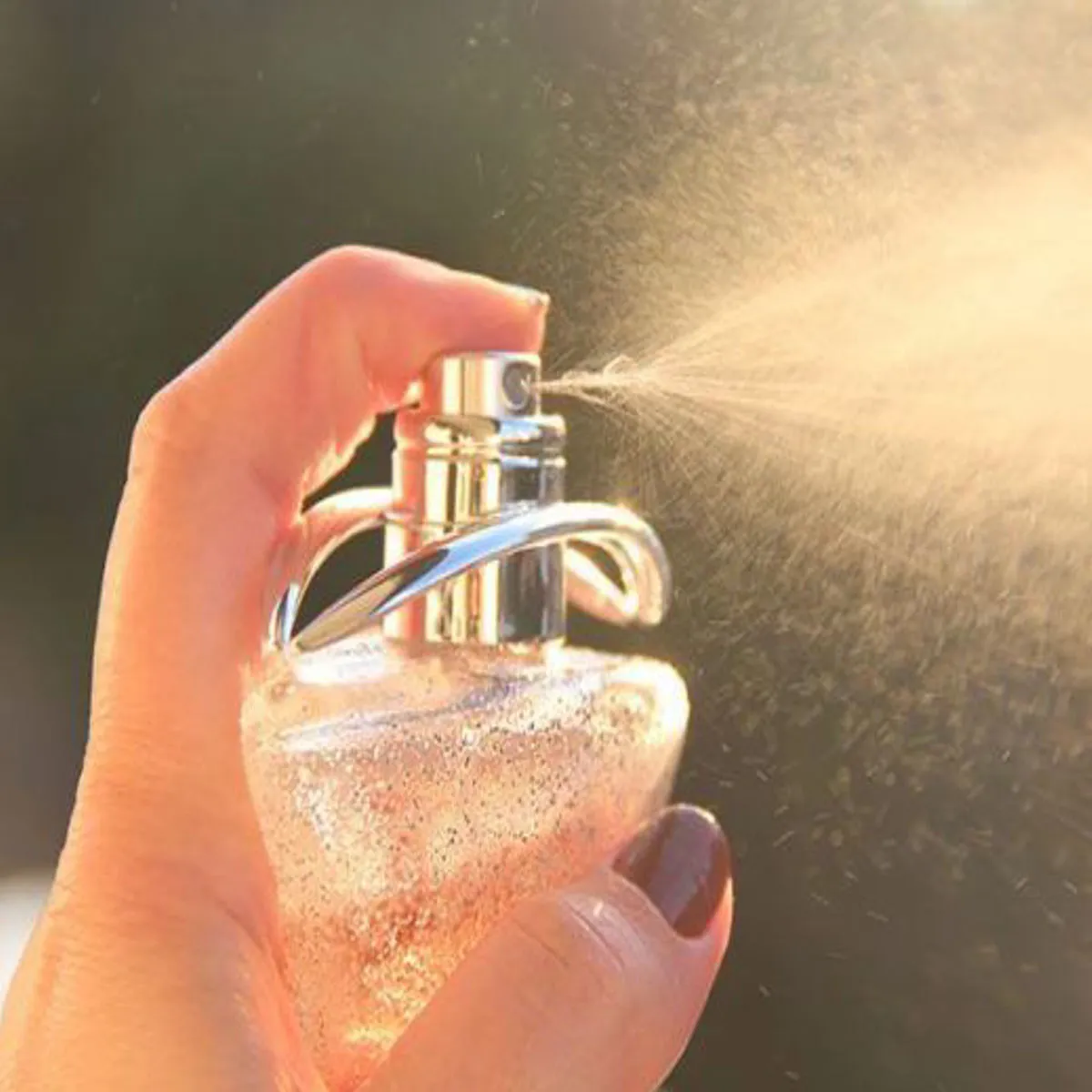 Perfumehealthrisk Perfumehealthrisk Grdn Prphyum Spre Krna