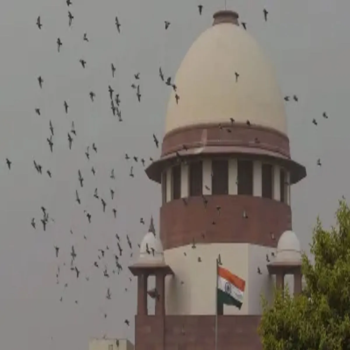 Supremecourt Supremecourt Asm Siem Vidiyo Vivad