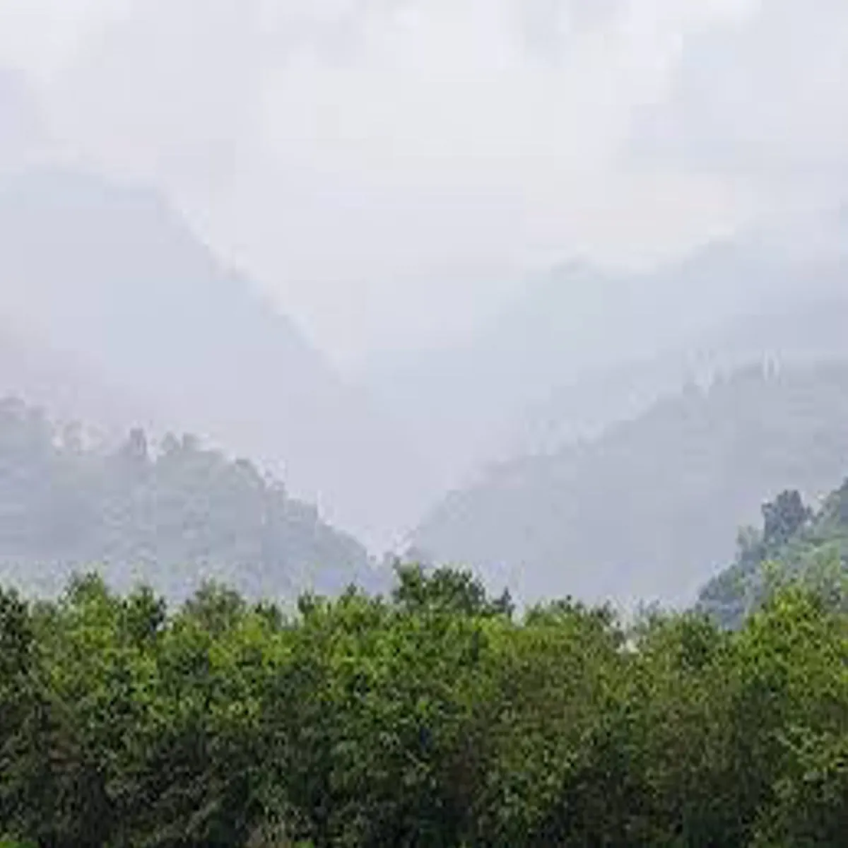 Weatherupdate Weatherupdate Uttrakhnd Prvtiy Jilon Men