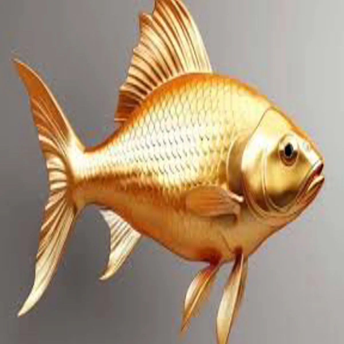 Vastutips Vastutips Ghr Men Mchhli Rkhne