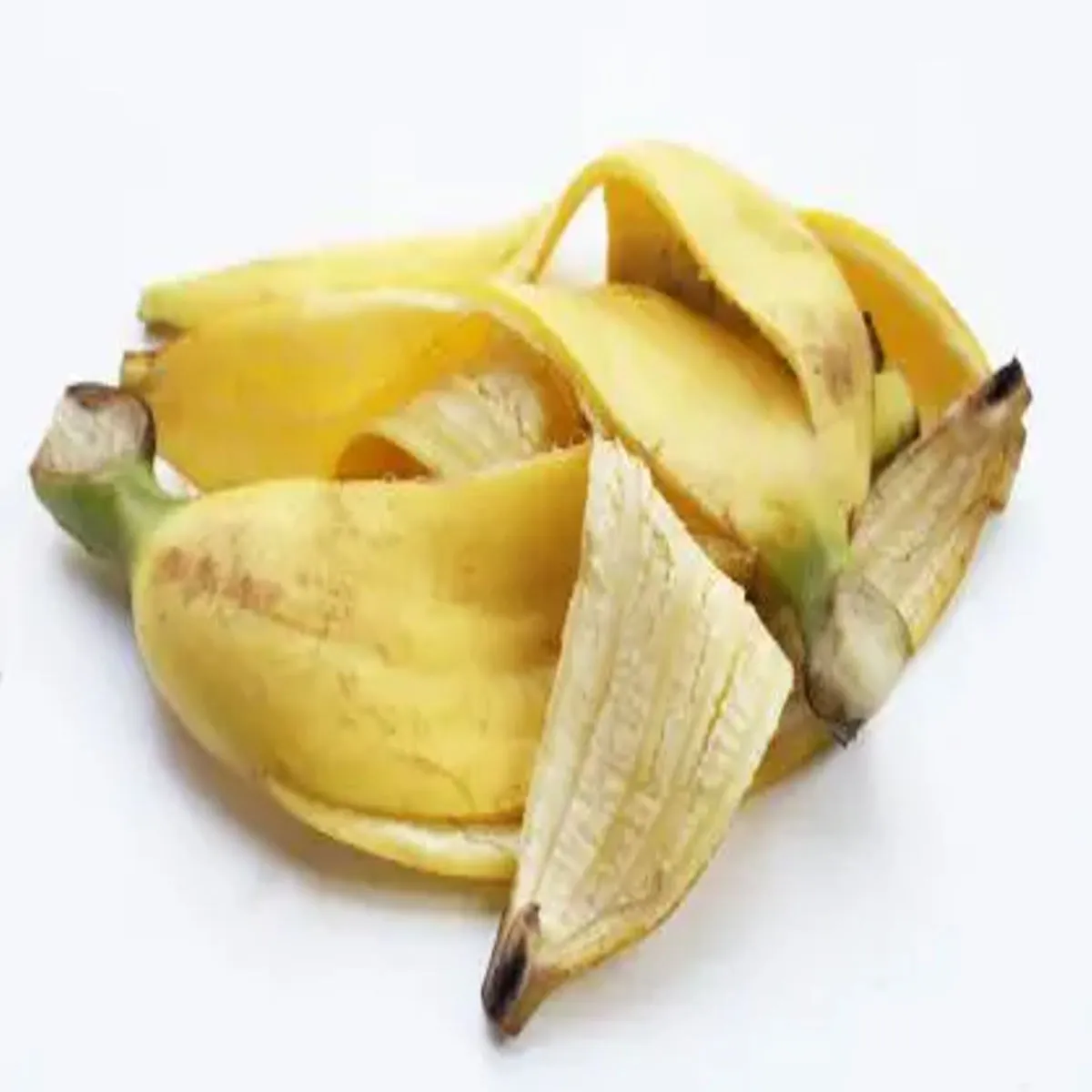 Bananapeels Bananapeels Kele Chhilke Men Chhipe