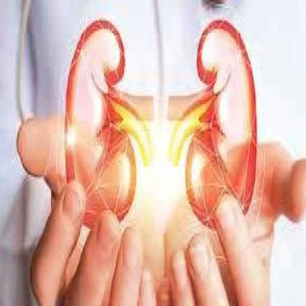 Kidneyhealth Kidneyhealth Kidni Rog Bda Kar
