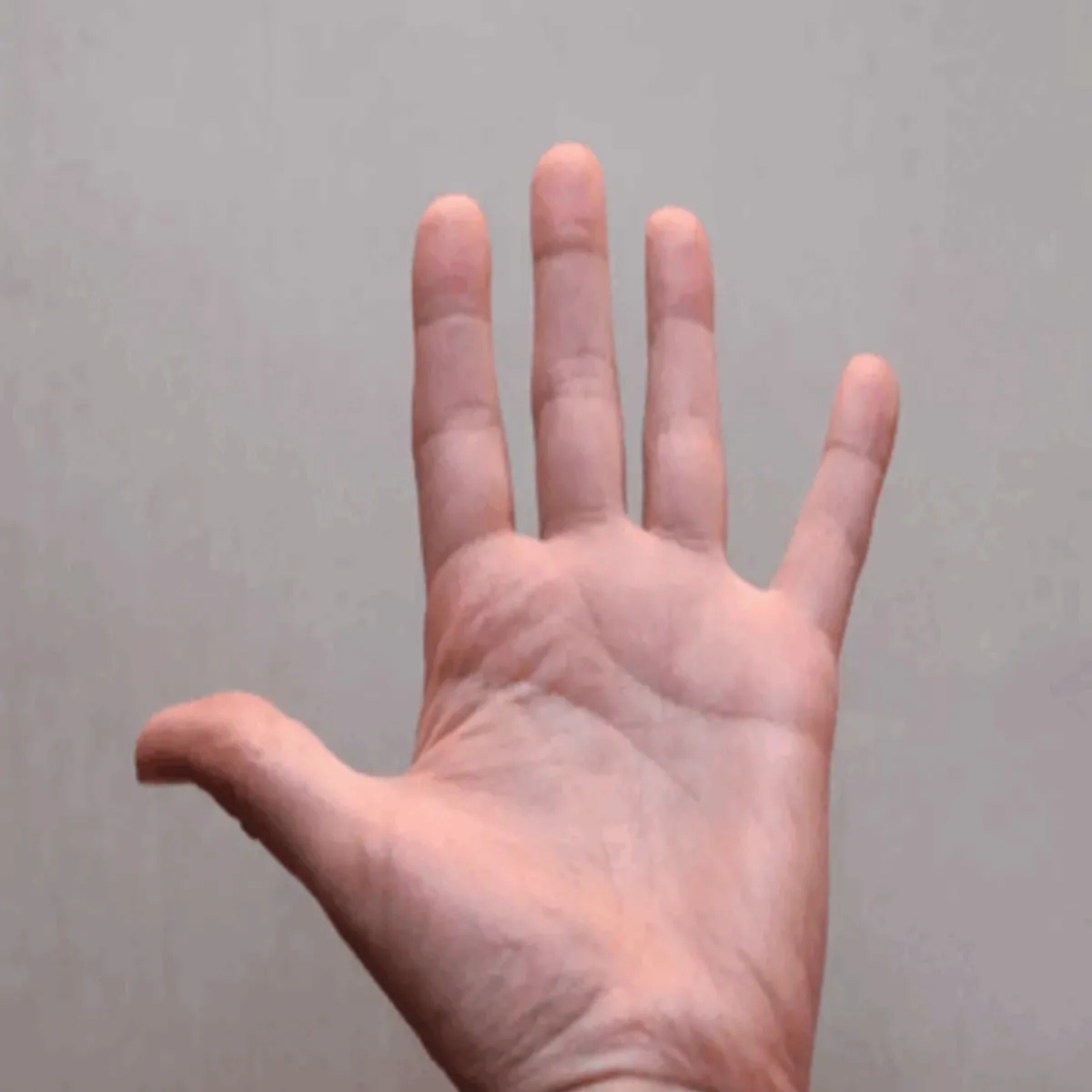 Palmistry Palmistry Htheli Nishan Vale Palmistry